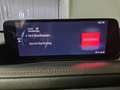 Mazda CX-30 Homura G-150/AT/FWD/Navi/Head-Up/Camera Grau - thumbnail 14