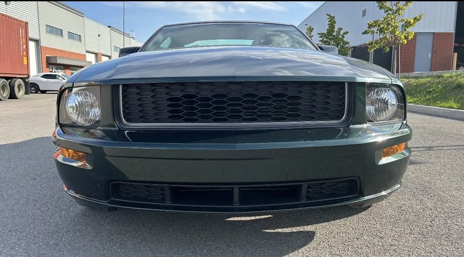 Ford Mustang BULLITT V8 GT Grün - 2