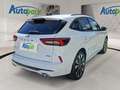 Ford Kuga ST-Line X Hybrid ST-Line X Weiß - thumbnail 6