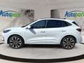 Ford Kuga ST-Line X Hybrid ST-Line X Weiß - thumbnail 4