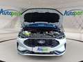 Ford Kuga ST-Line X Hybrid ST-Line X Weiß - thumbnail 9