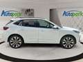 Ford Kuga ST-Line X Hybrid ST-Line X Weiß - thumbnail 5