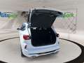 Ford Kuga ST-Line X Hybrid ST-Line X Weiß - thumbnail 10