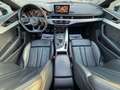 Audi A5 35 TDi S line/CARPLAY-COCKPIT-PANO-FULL/GARANTiE!! Schwarz - thumbnail 12
