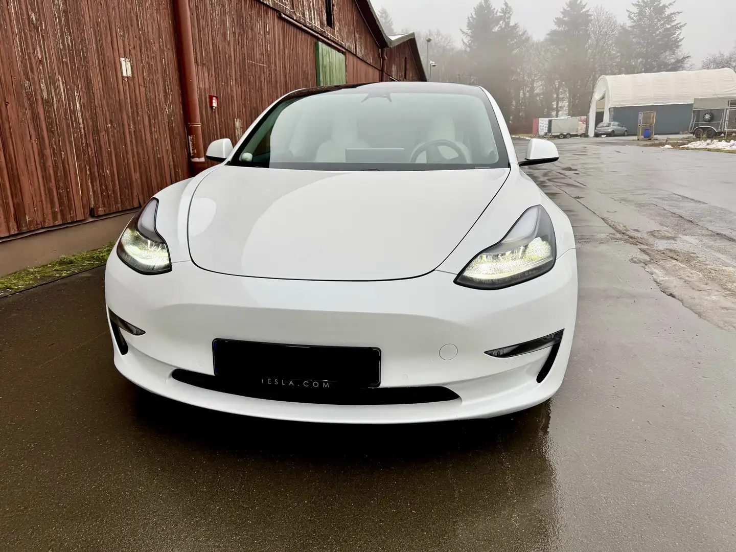 Tesla Model 3 Langstreckenbatt. Allradantrieb Dual Motor Perform - 1