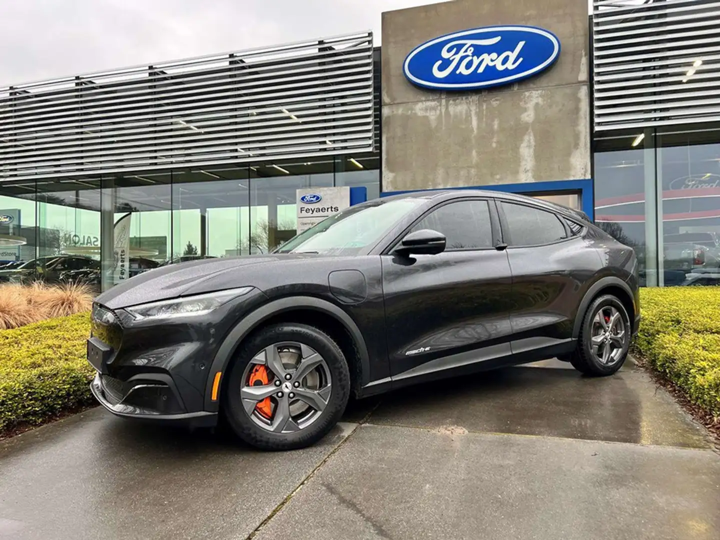 Ford Mustang Mach-E RWD / 76 kWh / 269 PK! Gris - 1