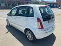 Lancia MUSA Musa 1.4 16v Platino Gpl NEOPATENTATI Wit - thumbnail 4