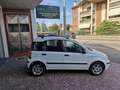 Fiat Panda 1.2 60cv Dualogic Dynamique Bianco - thumbnail 7