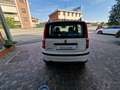 Fiat Panda 1.2 60cv Dualogic Dynamique Bianco - thumbnail 5
