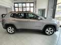 Jeep Compass Compass II 2017 1.6 mjt Business 2wd 120cv Argent - thumbnail 8