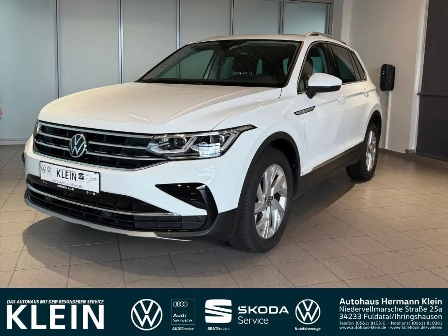 Volkswagen Tiguan 1.5 TSI Elegance Pano, ACC, LED-Matrix Weiß - 1