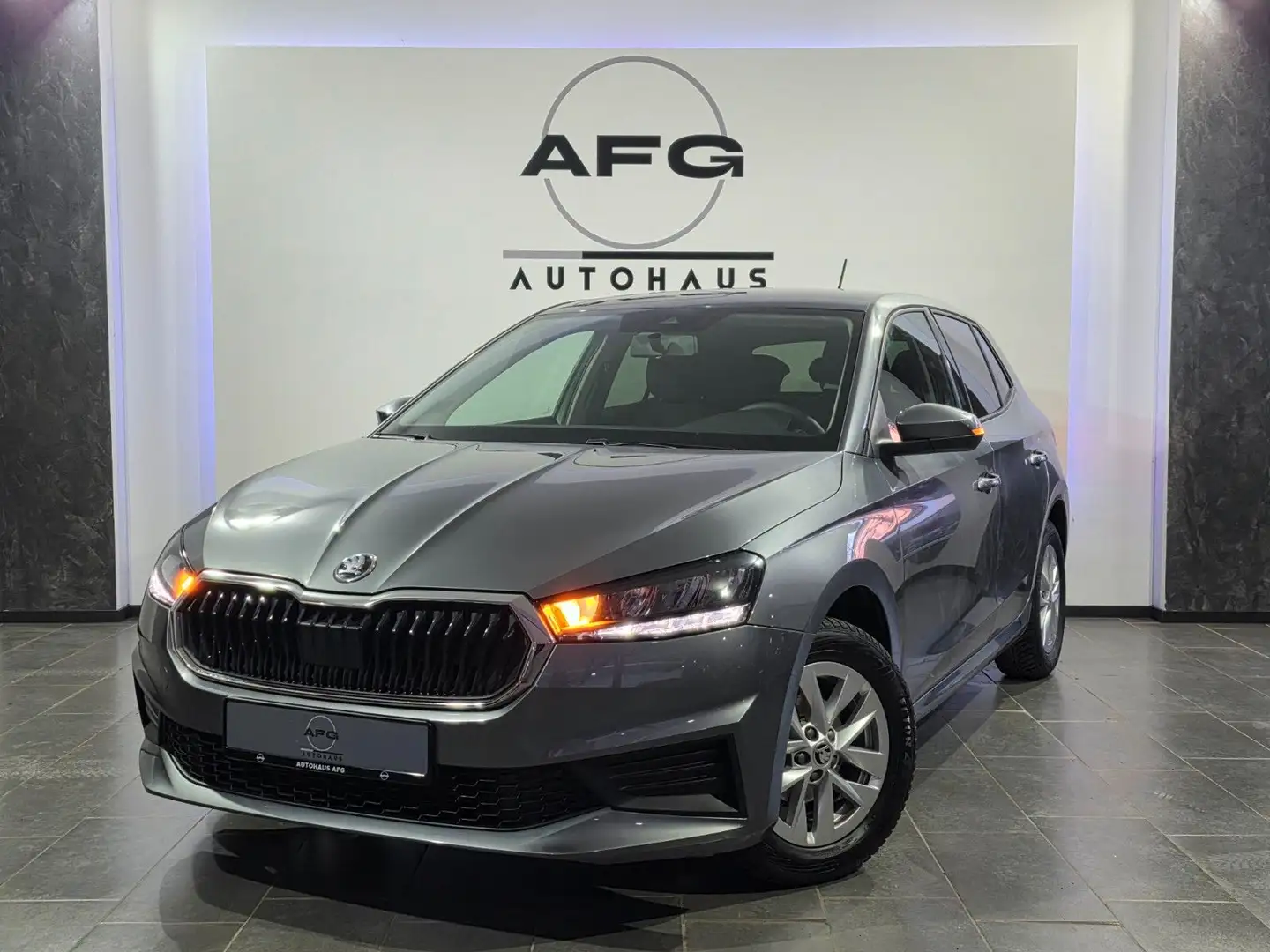 Skoda Fabia Active Grau - 1