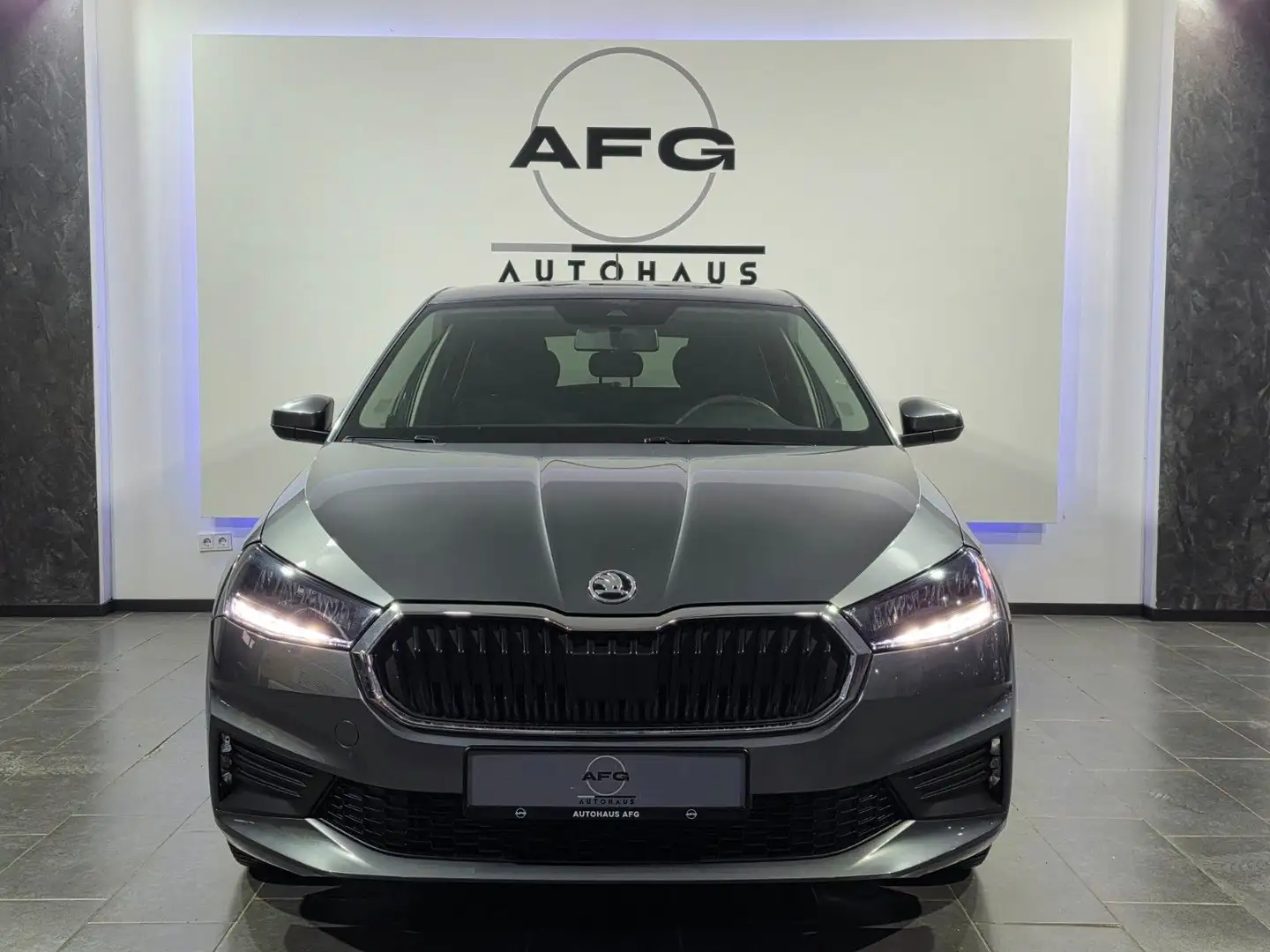 Skoda Fabia Active Grau - 2