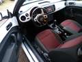 Volkswagen Beetle 1.2 TSI White Edition TOP STAAT,NW APK,GOED ONDERH Blanc - thumbnail 8