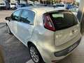 Fiat Punto Evo Punto Evo 1.2 Dynamic - 5 porte Bianco - thumbnail 6