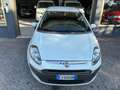 Fiat Punto Evo Punto Evo 1.2 Dynamic - 5 porte Bianco - thumbnail 2