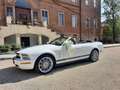 Ford Mustang 4.0 V6 cabrio del 2008 Blanc - thumbnail 6