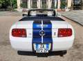 Ford Mustang 4.0 V6 cabrio del 2008 Wit - thumbnail 1