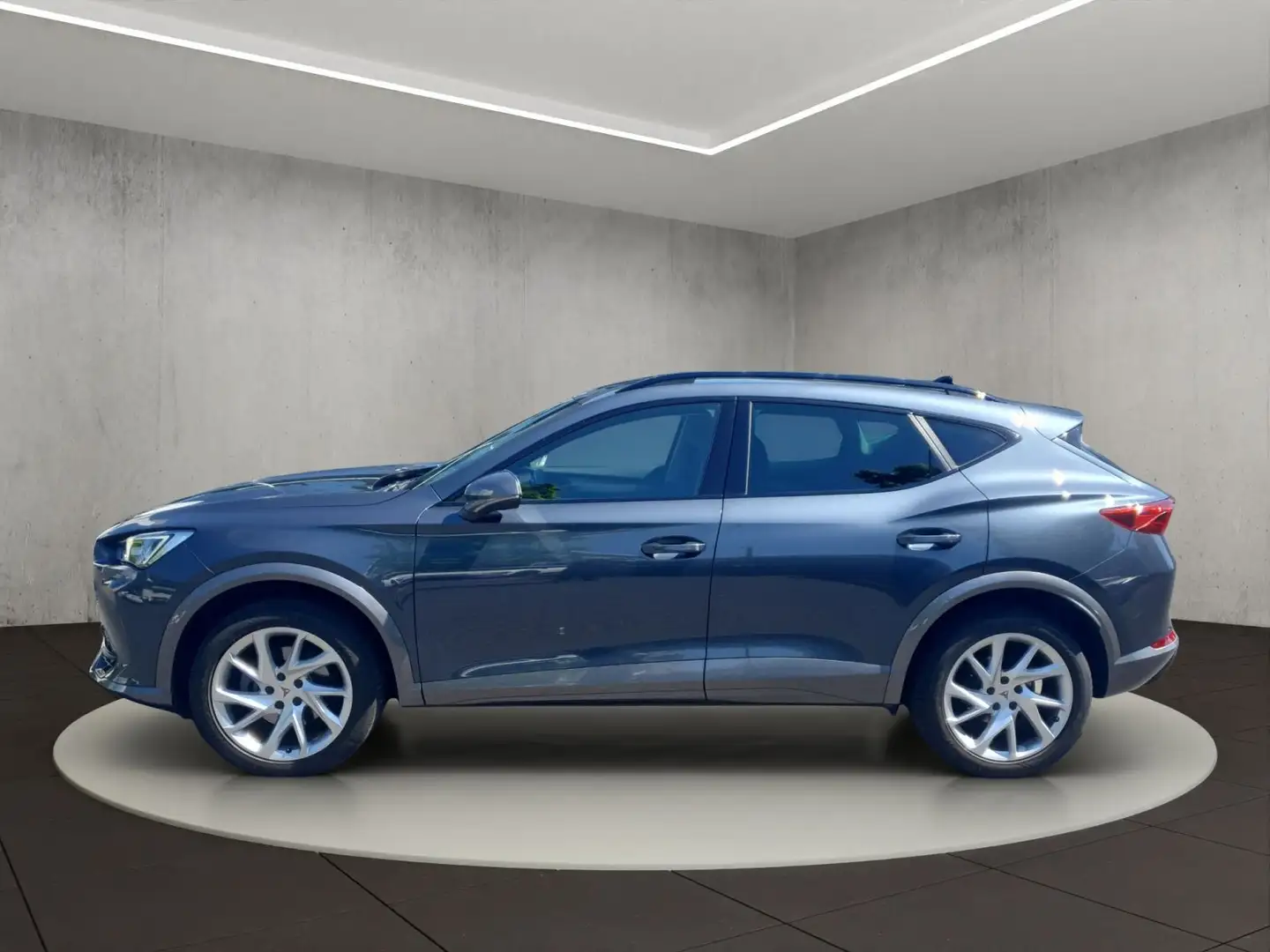 CUPRA Formentor 2.0 TDI 4Drive Navigation Winterpaket Grau - 2