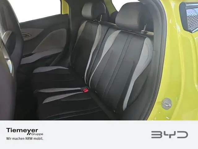 Byd Dolphin view 10