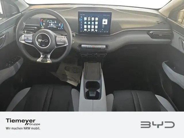 Byd Dolphin view 11