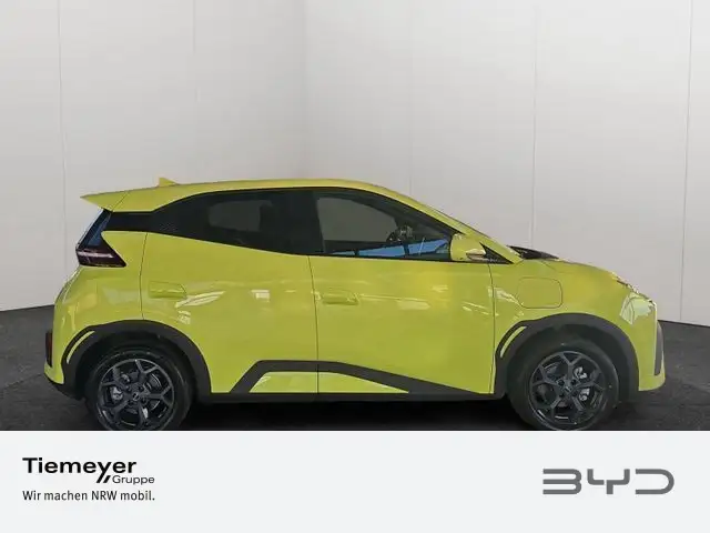 Byd Dolphin view 3