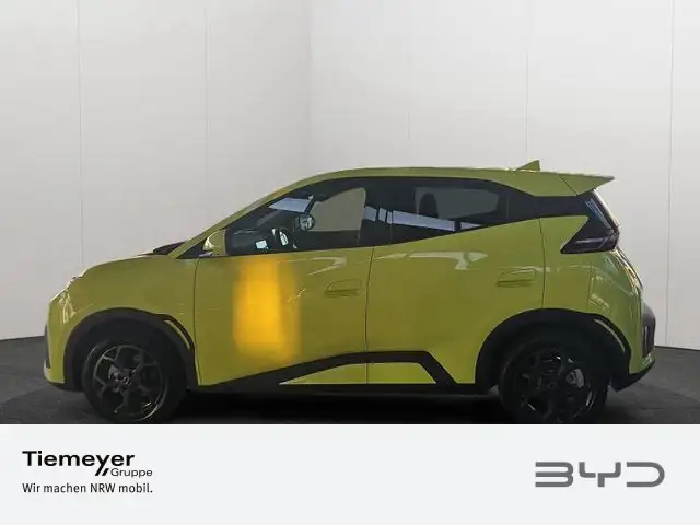 Byd Dolphin view 7