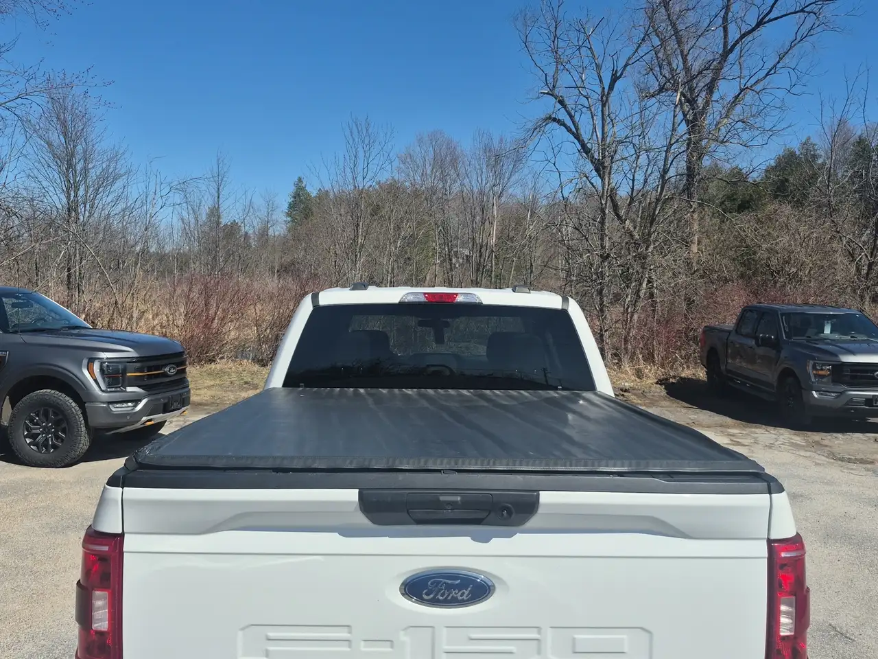 Ford F 150 снимка Ford F 150