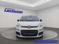 Fiat Panda Mild Hybrid 1.0 DAB Spurhalteass. Verkehrszeichene Weiß - thumbnail 2