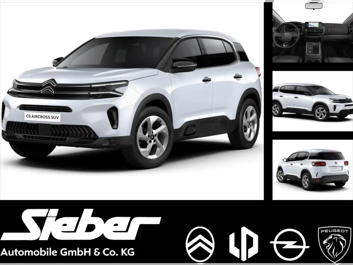 Citroen C5 Aircross Plus MHEV *Privatkundenaktion* Weiß - 1