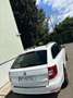 Skoda Superb Combi Ambition 2,0 TDI 4x4 Green tec DSG Weiß - thumbnail 3