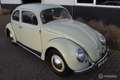 Volkswagen Kever 1200 Ovaal 1955 Matching Numbers - thumbnail 8