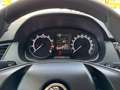 Skoda Fabia Active SC 1,0 Blau - thumbnail 20