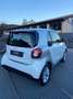 smart forTwo 1.0 PASSION 71 CV LED MANUALE PROMO  GARANZIA Weiß - thumbnail 3