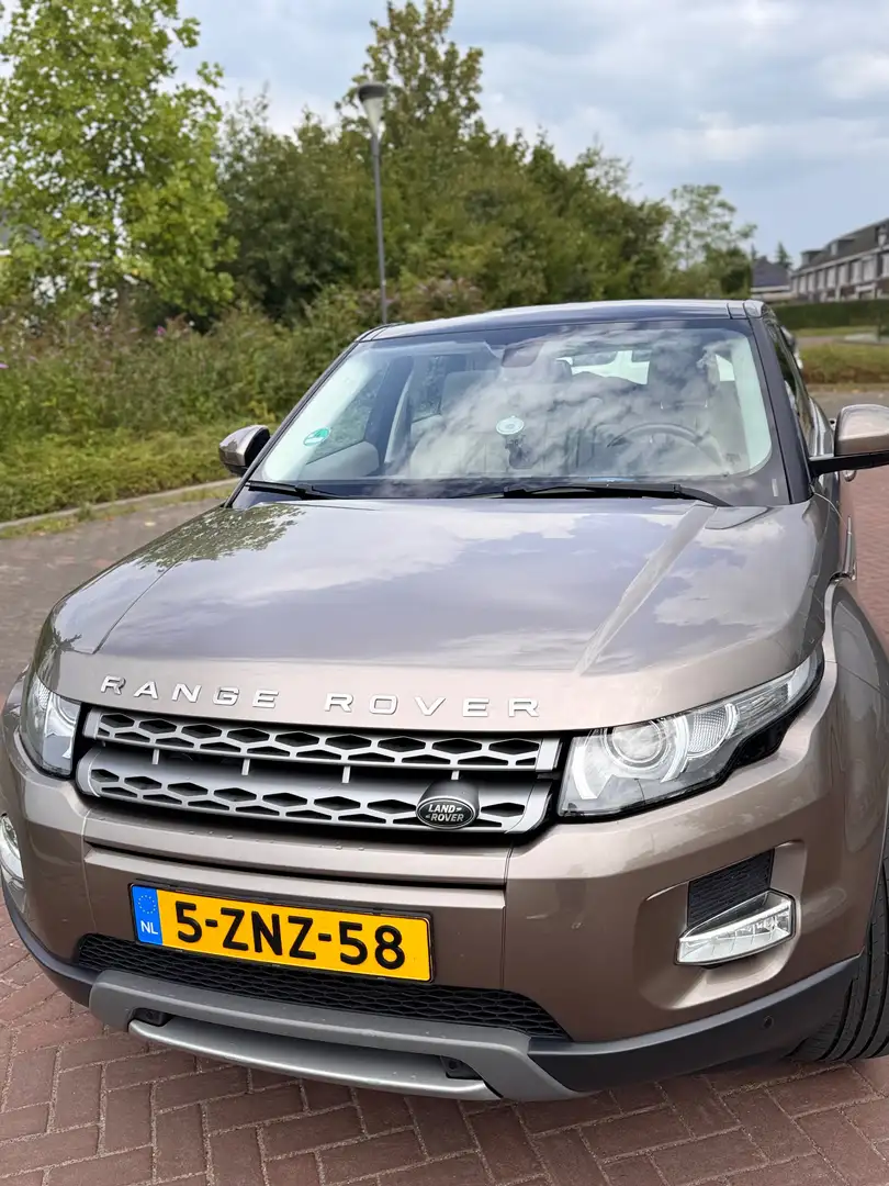 Land Rover Range Rover Evoque Range Rover Evoque 2.2 eD4 2WD P. BnsEd - 1