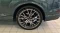 Audi SQ7 4.0 TDI Verde - thumbnail 5
