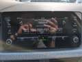 Skoda Kamiq Selection TSI Grau - thumbnail 18