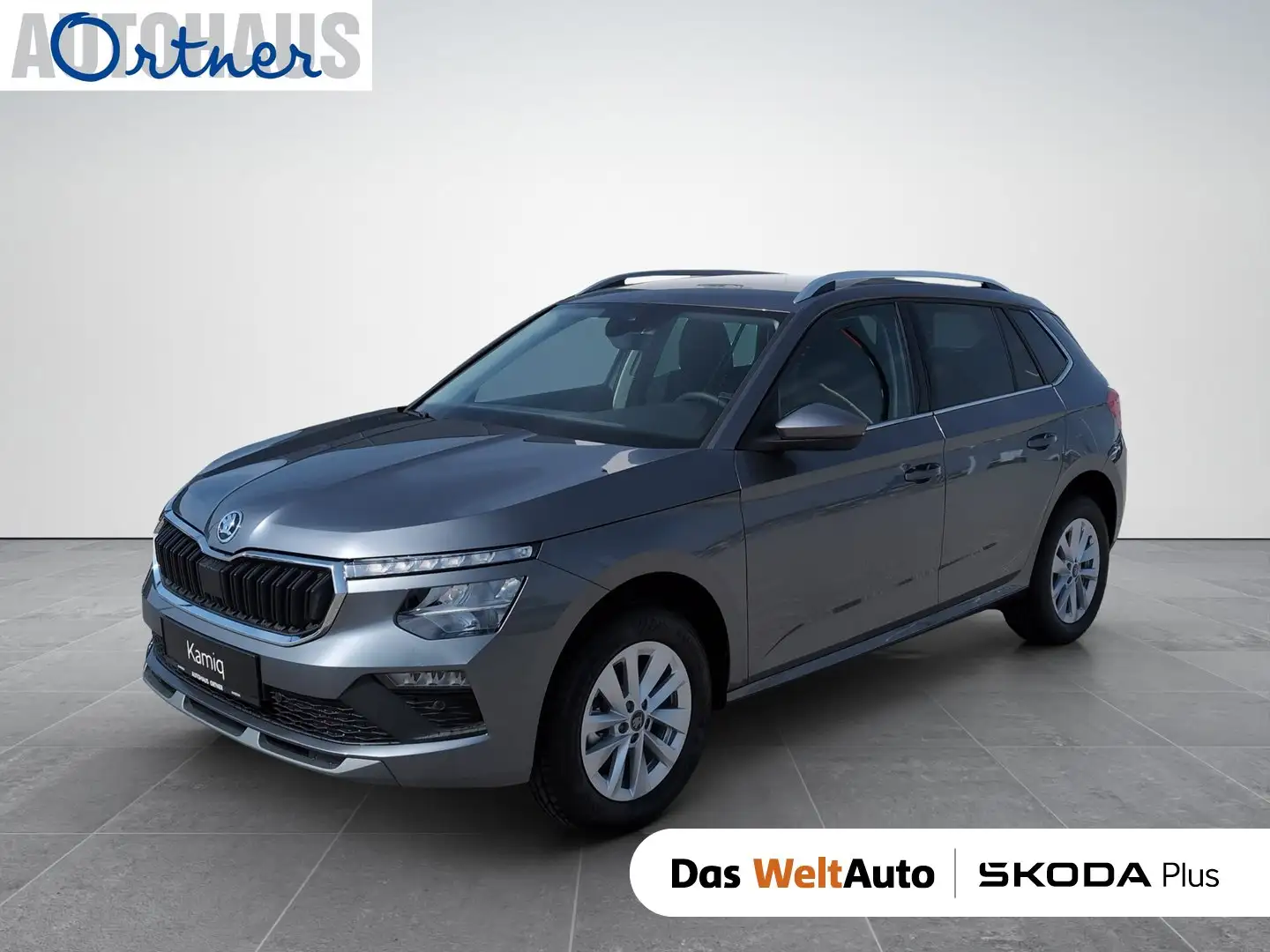Skoda Kamiq Selection TSI Grau - 1