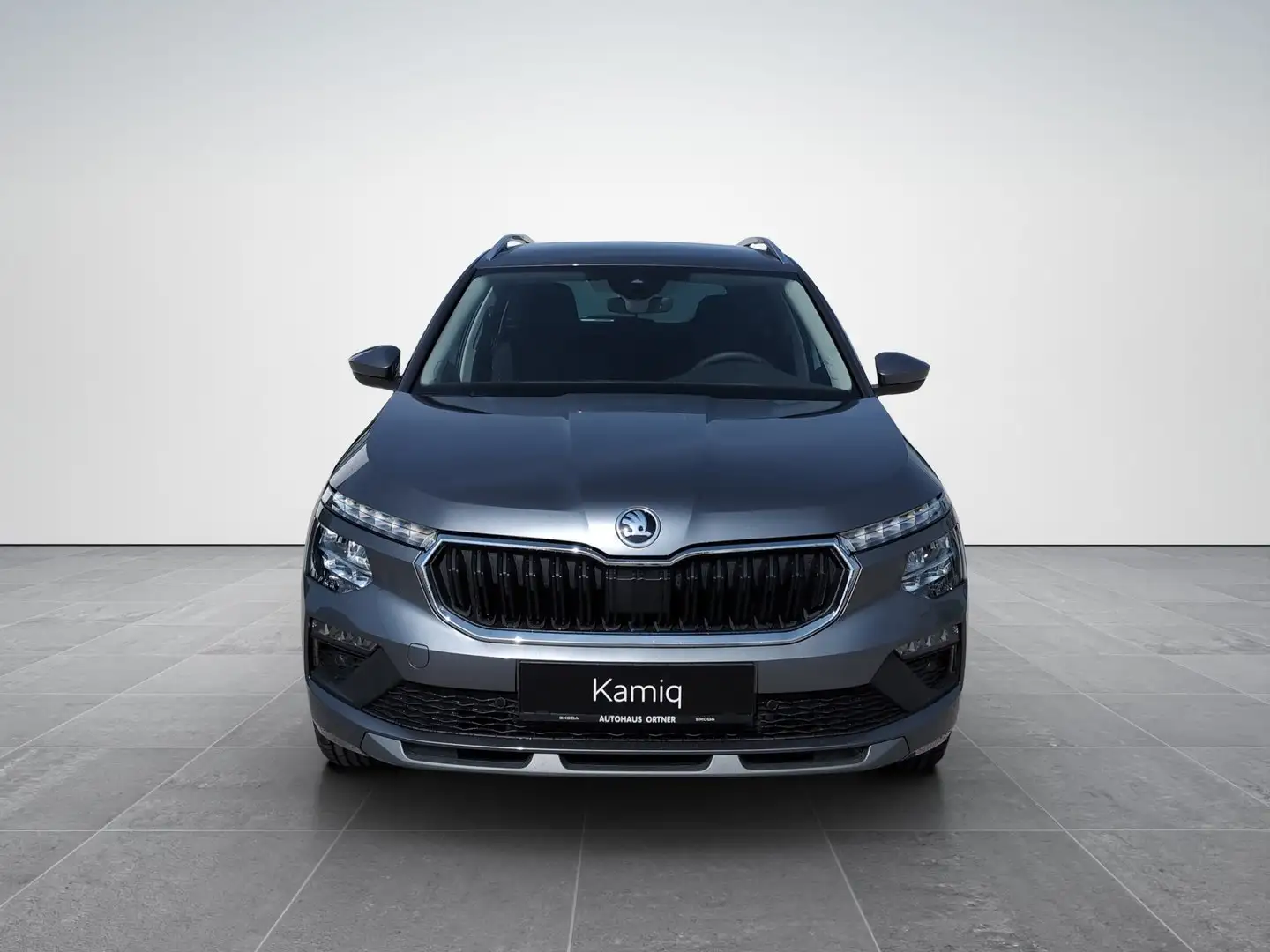Skoda Kamiq Selection TSI Grau - 2