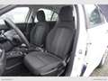 Fiat Tipo 1.6 Mjt 120CV Easy Euro 6D-Temp Bianco - thumbnail 11