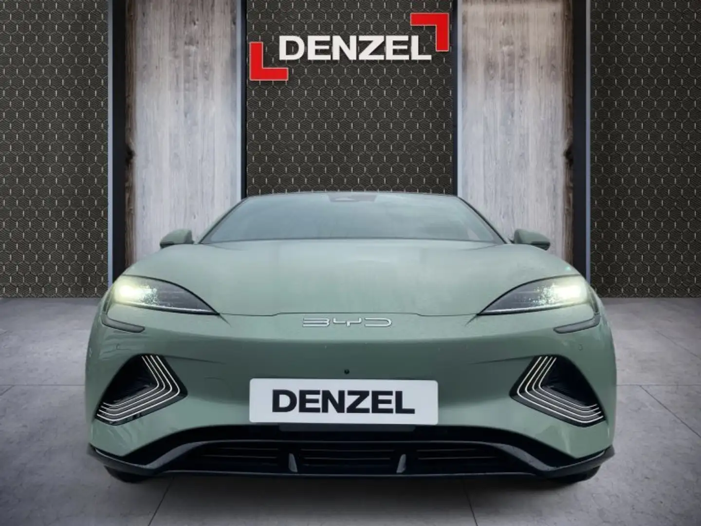 BYD Seal Excellence AWD Grün - 2