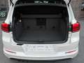 Volkswagen Tiguan CityScape 4x4*Panorama*Leder*DSG*R-line Blanc - thumbnail 9