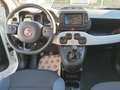 Fiat Panda 1.0 FireFly S&S Hybrid Bianco - thumbnail 12