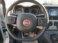 Fiat Panda 1.0 FireFly S&S Hybrid Bianco - thumbnail 16