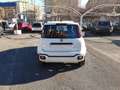 Fiat Panda 1.0 FireFly S&S Hybrid Bianco - thumbnail 27