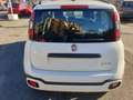 Fiat Panda 1.0 FireFly S&S Hybrid Bianco - thumbnail 28