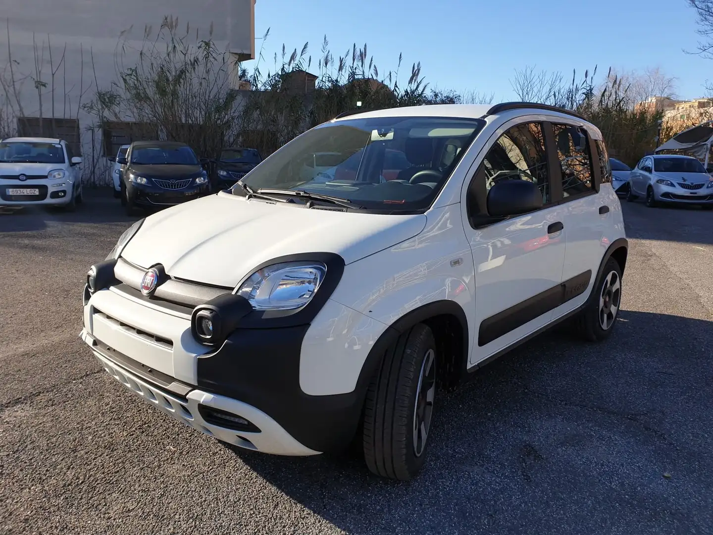 Fiat Panda 1.0 FireFly S&S Hybrid Bianco - 1