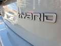 Fiat Panda 1.0 FireFly S&S Hybrid Bianco - thumbnail 29