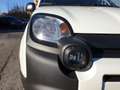 Fiat Panda 1.0 FireFly S&S Hybrid Bianco - thumbnail 4