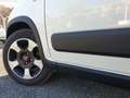 Fiat Panda 1.0 FireFly S&S Hybrid Bianco - thumbnail 24